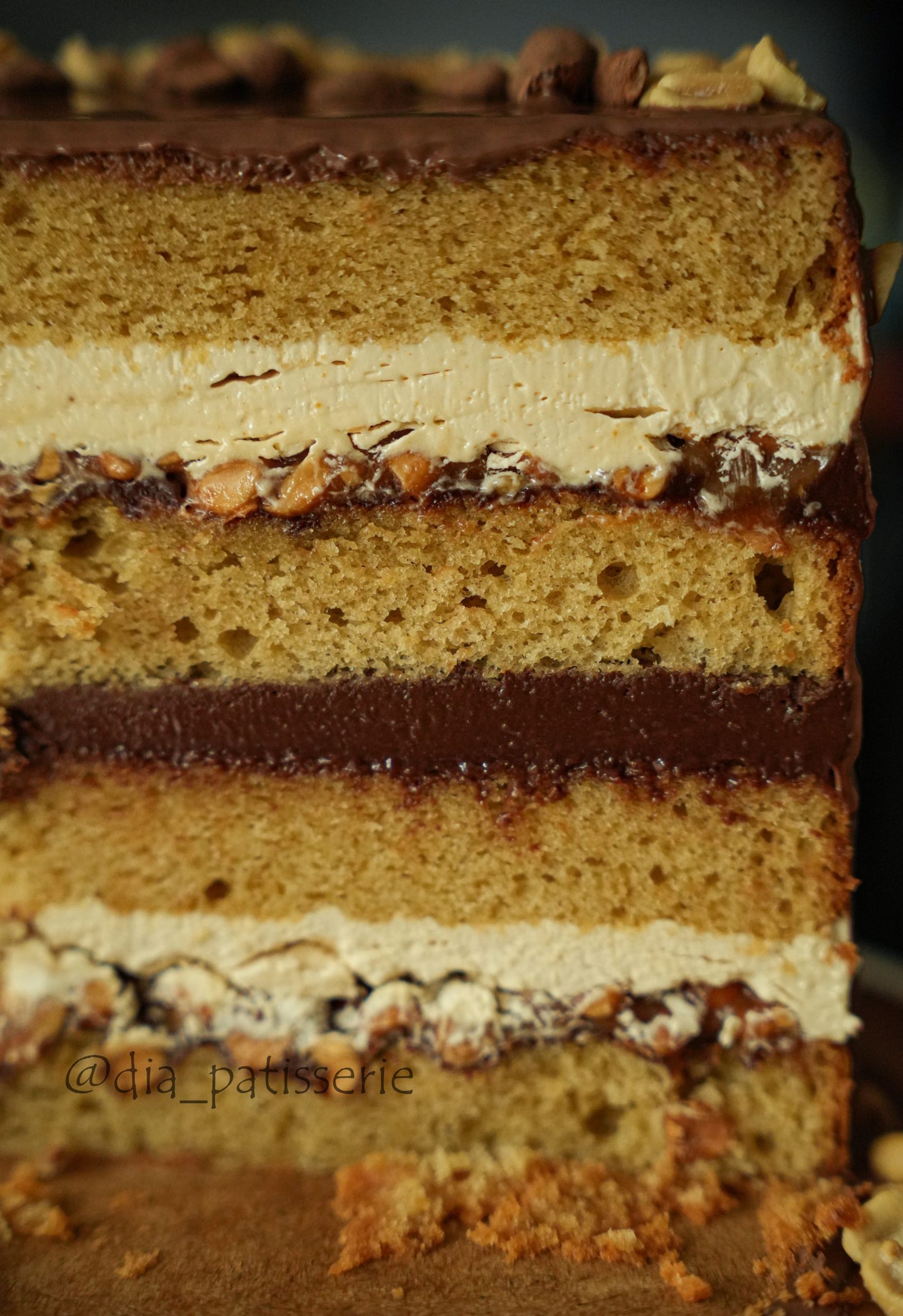 „Snickers“ įkvėptas žemės riešutų karamelės Tortas. Išsamus PDF ir vaizdo įrašo pamoka