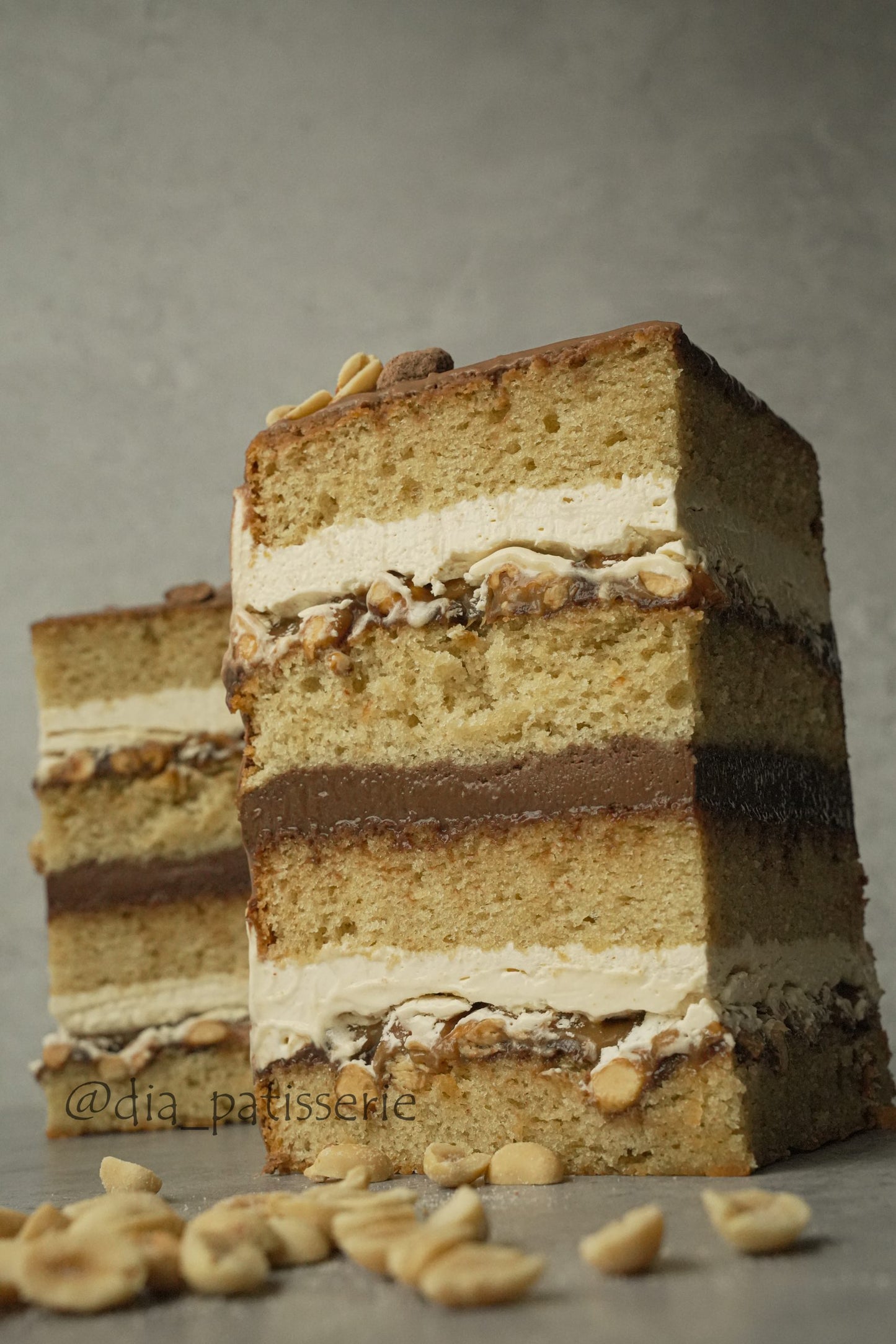 „Snickers“ įkvėptas žemės riešutų karamelės Tortas. Išsamus PDF ir vaizdo įrašo pamoka