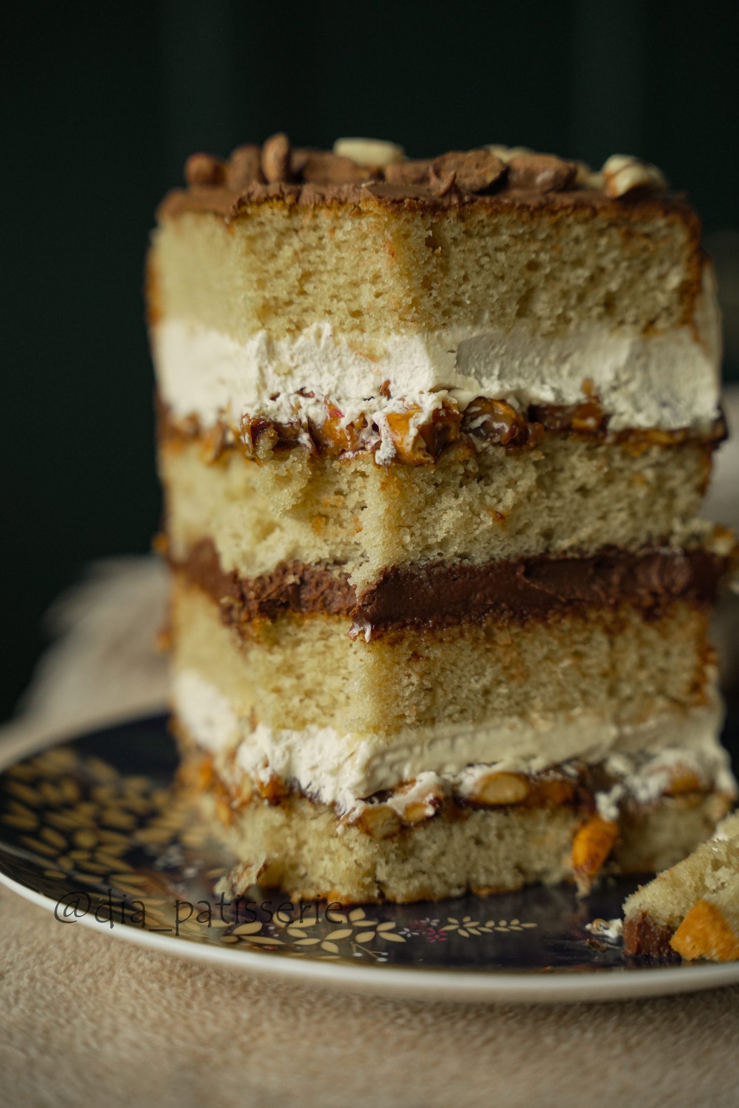 „Snickers“ įkvėptas žemės riešutų karamelės Tortas. Išsamus PDF ir vaizdo įrašo pamoka